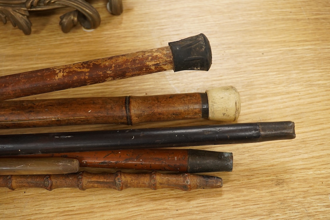 A collection of six various walking canes to include a silver mounted example and one with horn handle